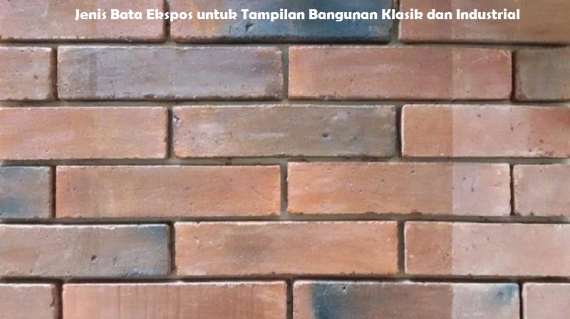 Jenis Bata Ekspos