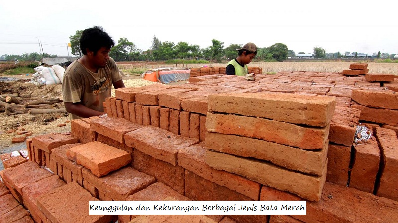 Jenis Bata Merah